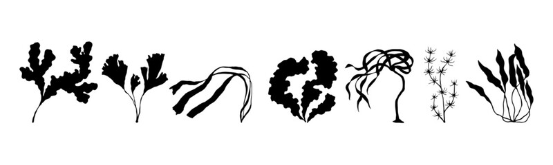 A set of aquatic plant and seaweed silhouettes. Vector graphics.