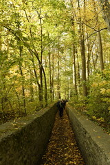 Obraz premium Chemin entre deux murs en pierres vers le Tunnel des Amoureux à Écaussinnes-Lalaing (Soignies)