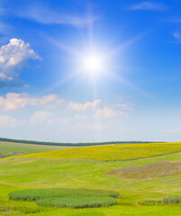 Obraz premium Vibrant Summer Landscape with Rolling Hills, Sunflower Field, and Bright Sunburst Sky