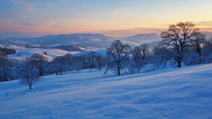 Beautiful winter morning on a snowy landscape