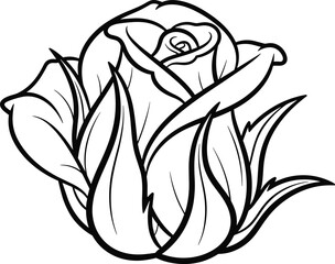 Black and white rose line drawing, floral illustration artwork, elegant flower sketch, botanical design, vector CAD artwork, coloring page style