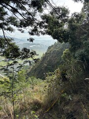 desde el bosque hacia el valle