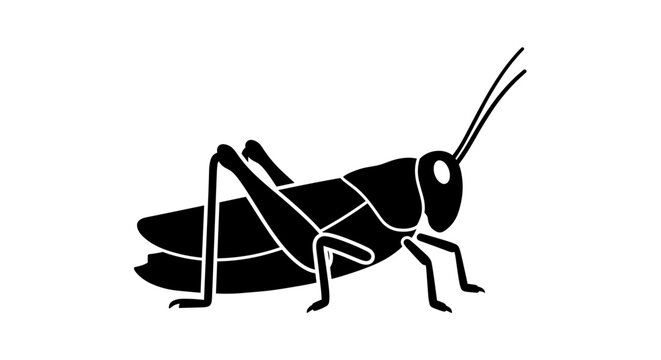 Black grasshopper silhouette on white background insect illustration.