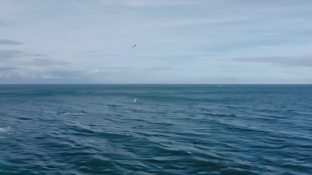 Expansive blue ocean beneath a pale cloudy sky with gentle rolling waves and a distant horizon