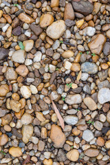 Stone floor, beautiful stones paving the ground in a forest in Brazil, selective focus.
