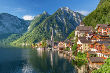 water forest and relax,top for relax