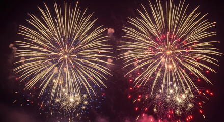 Fototapeta premium Two vibrant fireworks exploding in the dark night sky