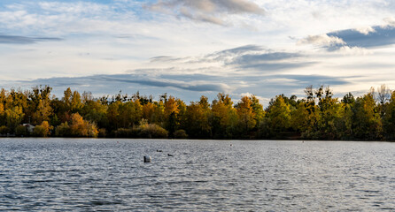 Reflets d’automne sur le lac- Strasbourg- France