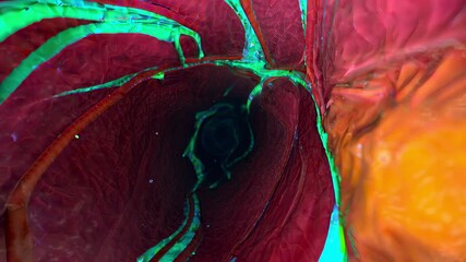 Exploring the vibrant patterns and colors of a natural structure in stunning close-up