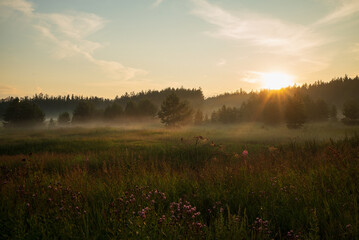Sunset over Misty Meadow and Forest