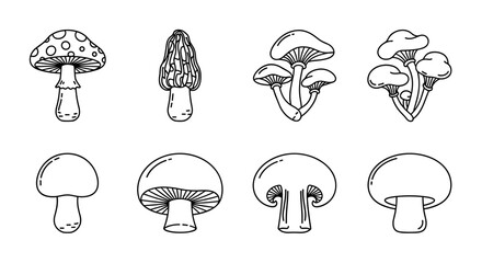 Collection of simple, isolated line icons representing various types of mushrooms, including a spotted toadstool, morel, and clusters of button mushrooms, suitable for web, books, cards, and apps