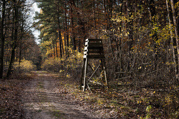 Observation tower on a forest road, autumn.
