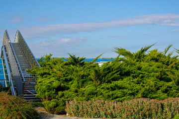 Warsaw University Roof Garden. Poland