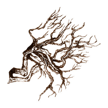 
Detailed brown ink sketch of twisted tree roots. Abstract brown ink illustration of a tree root system with organic twisting lines and detailed branching pattern on white background
