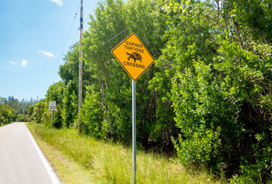 A roadside warning sign to protect Gopher Tortoises on Sanibel Island, Florida