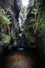 Moss-covered rocky ravine with waterfall flowing through canyon. Lush ferns frame dark stone walls. Serene woodland gorge capturing wet landscape and geological stone formations.

