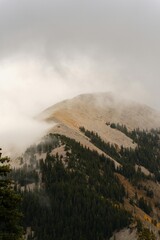 Storm clouds and mist rolling over a green mountain landscape with a forest view