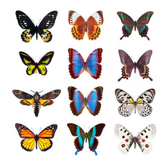 set of bright tropical butterflies isolated on transparent background