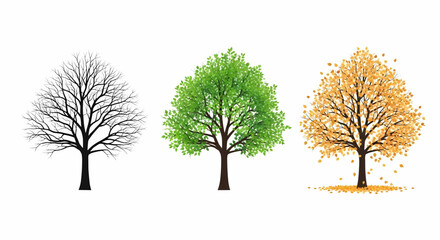 Obraz premium A collection of tree icons representing the changing seasons, a detailed vector illustration of a life cycle