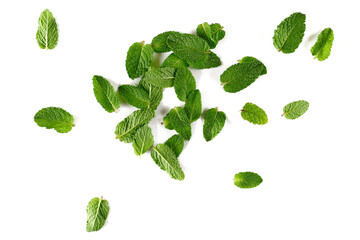 Fresh mint leaves isolated on white background, top view © dule964