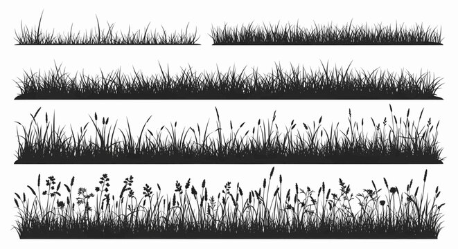 A diverse set of detailed grass and wildflower silhouettes, presented as a black and white vector illustration