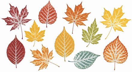 Obraz premium A vibrant collection of textured autumn fall leaves in various colors, seasonal nature vector illustration