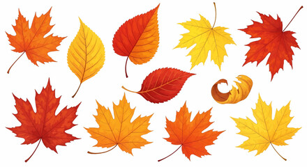 Fototapeta premium Set of colorful autumn leaves in red, orange, and yellow hues, fall foliage vector illustration