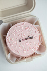 Homemade Baby Cake  - 5 Months