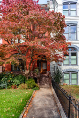 Historic Washington DC street with autumn colors