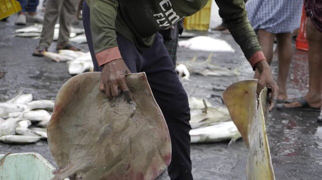 Handling Fresh Seafood at the Market - A Guide for Consumers