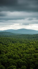 A massive expanse of rolling hills and towering mountains covered in an endless blanket of vibrant green trees stretching toward the horizon ,majestic ,wild ,trees