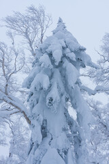 冬のオロフレ峠