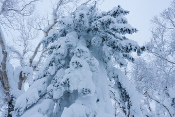 冬のオロフレ峠
