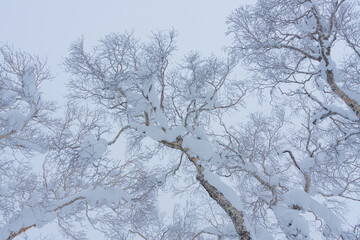 冬のオロフレ峠
