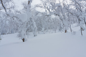 冬のオロフレ峠