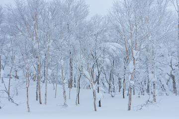 冬のオロフレ峠