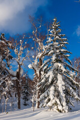 冬のオロフレ峠