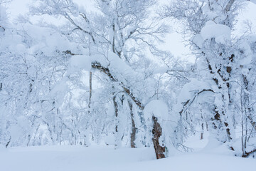 冬のオロフレ峠