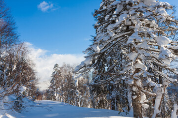 冬のオロフレ峠