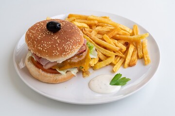 Casual burger meal, Comforting fastfood fried feast, Simple savory snack with crispy potatoes and toppings, Relaxed dining experience featuring classic burger and tasty