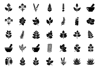 Herbalism and botany glyph icon set. A collection of minimalist symbols for medicinal plants, aromatherapy, and natural wellness