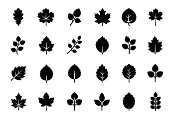 A diverse collection of black leaf silhouettes, featuring various tree and plant foliage shapes presented as a simple vector icon set