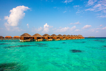 Tropical island beach landscape exotic shore coast. Tranquil closeup calm sea water waves with palm trees. Beautiful Panorama. Summer vacation, holiday amazing nature. Relax paradise, Maldives.