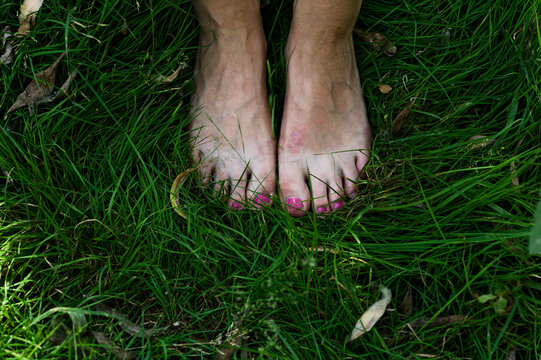 Feet With Pink Nail Polish Standing In Green Grass From Above