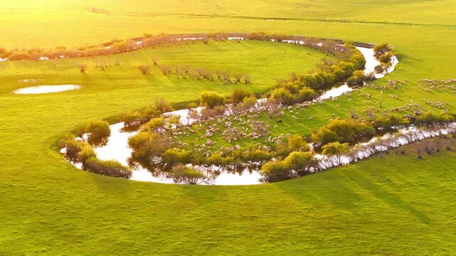 Aerial photography of the Morge River in August