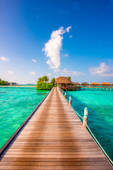Tropical island beach landscape exotic shore coast. Tranquil closeup calm sea water waves with palm trees. Beautiful Panorama. Summer vacation, holiday amazing nature. Relax paradise, Maldives.