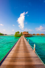 Tropical island beach landscape exotic shore coast. Tranquil closeup calm sea water waves with palm trees. Beautiful Panorama. Summer vacation, holiday amazing nature. Relax paradise, Maldives.