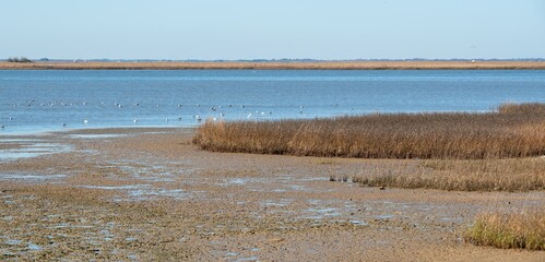 Fort Anahuac Park in Texas