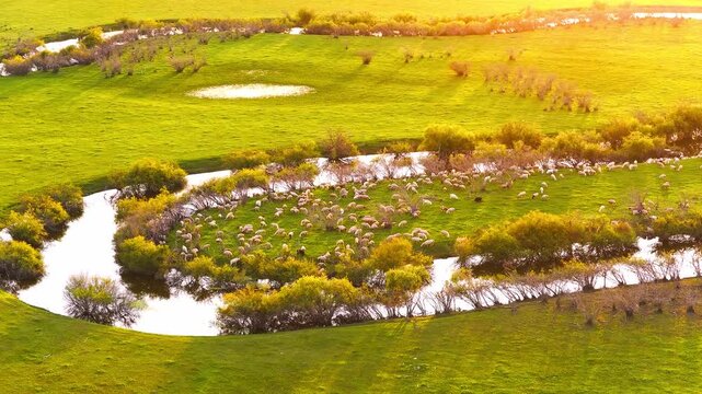 Aerial photography of the Morge River in August
