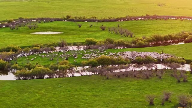 Aerial photography of the Morge River in August